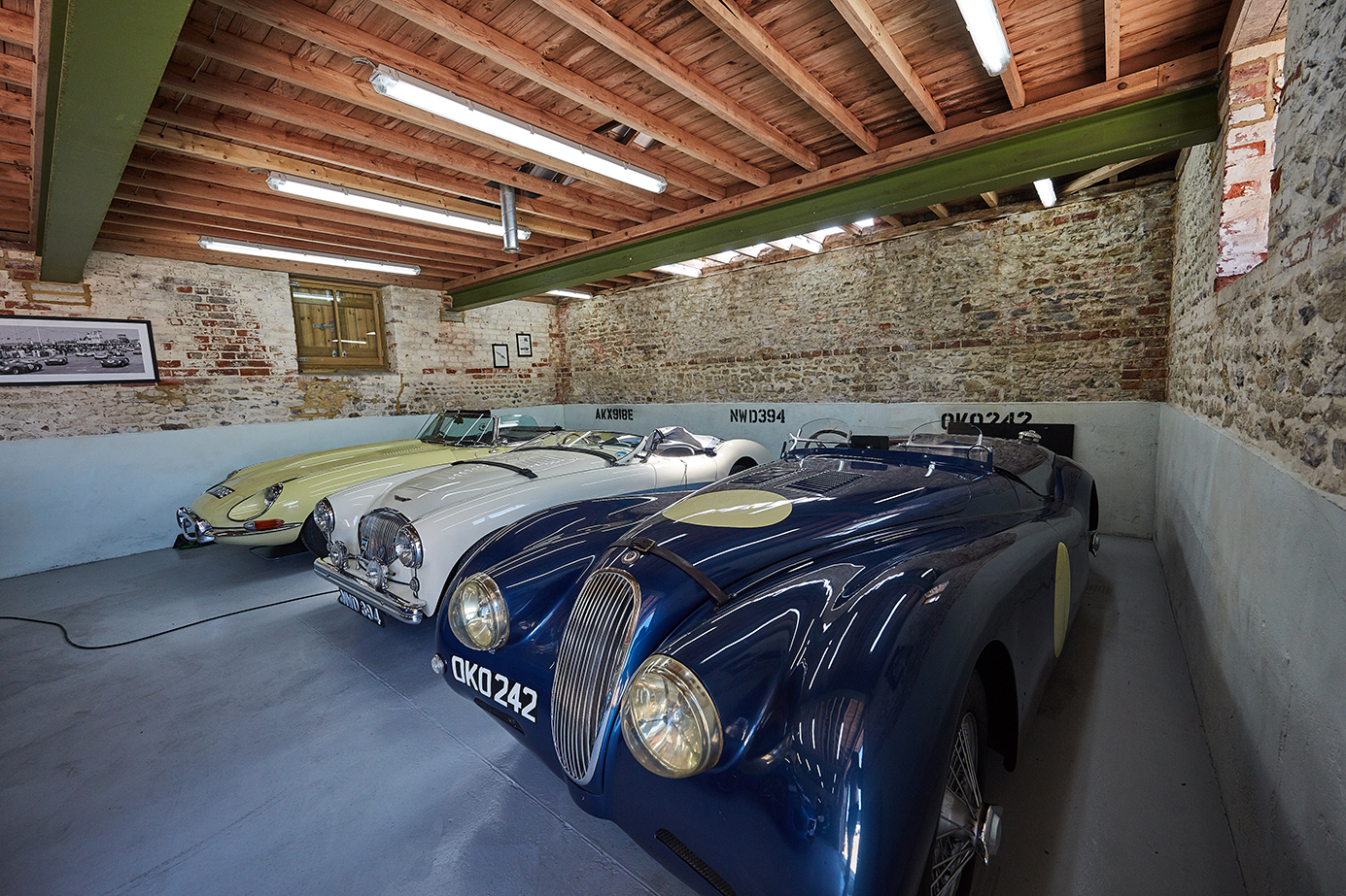 Jaguar collection protected by dehumidifier